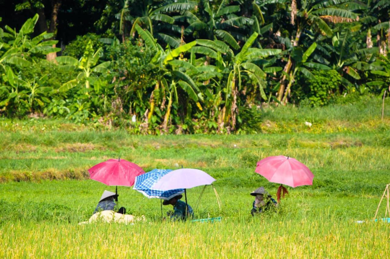 Starlight Boutique Hotel Quảng Ninh Eksteriør bilde